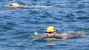 Kulaçlar Troya İçin Atılacak