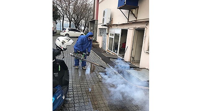 Sivrisinek Ve Karasinek İle Mücadele Devam Ediyor