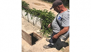 Sivrisinekler İle Mücadele Devam Ediyor