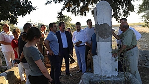 Troya Bölgesinin Tarihi ve Kültürel Alanları