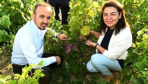 Turan'dan, Bozcaada'ya Ziyaret