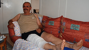 Yılan Korkusu Bacağını Kestirdi