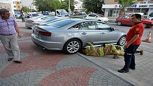 Başkan Gökhan'ın Makam Aracına Sıkışan Yavru Kedi Kurtarıldı…