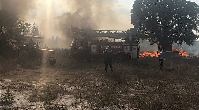 Bayramiç'te Çıkan Yangın, Biber ve Kabaklara Zarar Verdi