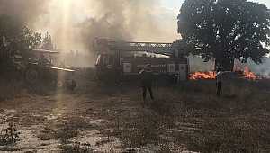 Bayramiç'te Çıkan Yangın, Biber ve Kabaklara Zarar Verdi
