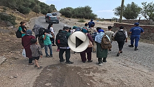 Çanakkale'de 45 kaçak göçmen yakalandı