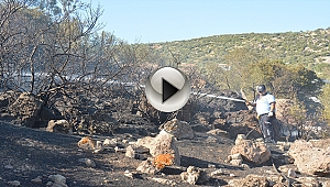 Çanakkale'de makilik yangını
