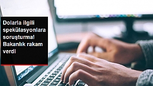 Dövizdeki Spekülasyonlarla İlgili Paylaşım Yapan 346 Sosyal Medya Hesabı Hakkında Soruşturma