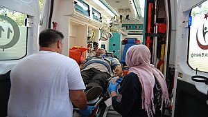 Tarım işçilerini taşıyan minibüs devrildi: 12 yaralı!