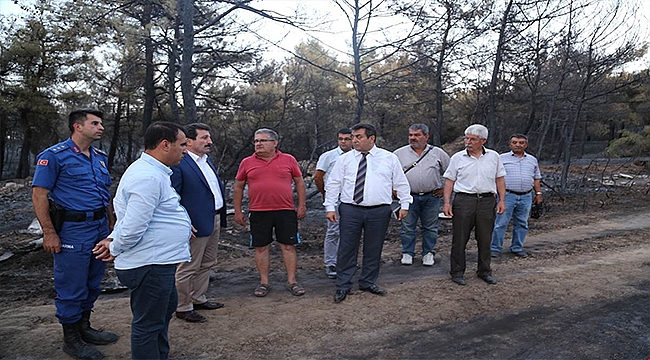 Vali Orhan TAVLI, Ezine'de Yanan Alanları İnceledi