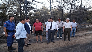 Vali Orhan TAVLI, Ezine'de Yanan Alanları İnceledi