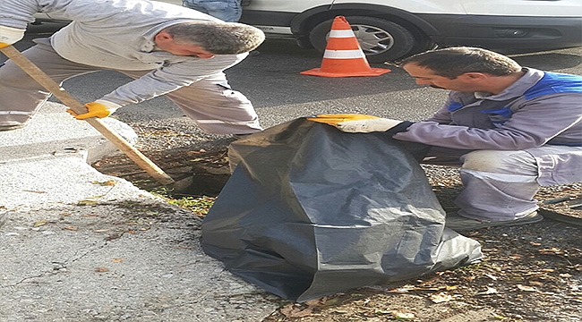 Belediye Ekipleri Kent Genelinde Çalışmalarına Devam Ediyor