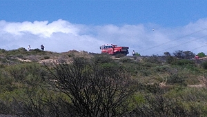 Biga'da orman yangını!