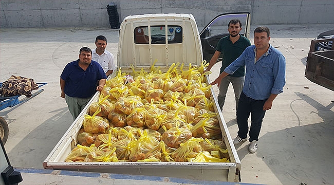 ÇANAKKALE GÜÇ BİRLİĞİ 400 KİLO ŞEFTALİ DAĞITTI