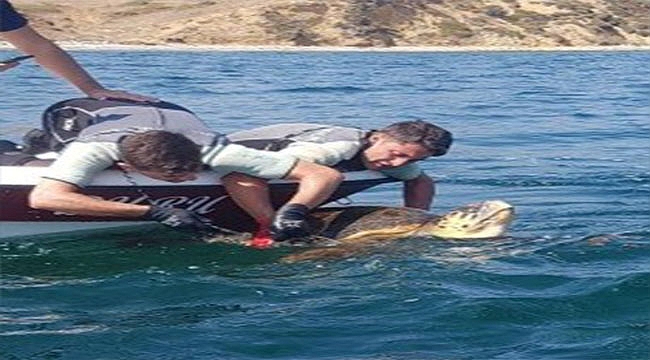 Caretta carettayı sahil güvenlik kurtardı