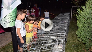 Sultan tavukları çocukları cezp etti