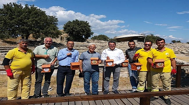 Troya'nın kuşlarına yuva