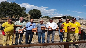 Troya'nın kuşlarına yuva