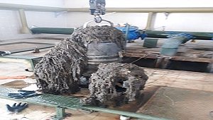 Tuvalete Değil Çöpe!