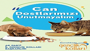 AK Parti Çanakkale İl Gençlik Kolları'ndan 'Can Dostlarımızı Koruyalım' projesi