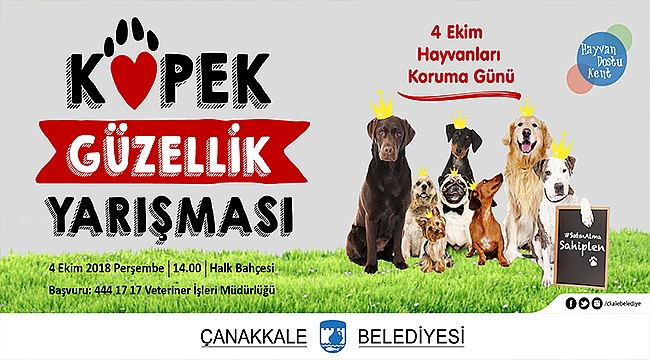 Belediye Başkanı Sayın Ülgür GÖKHAN'ın 4 Ekim Dünya Hayvanları Koruma Günü Mesajı