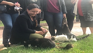 "BU DÜNYA BİRLİKTE GÜZEL"