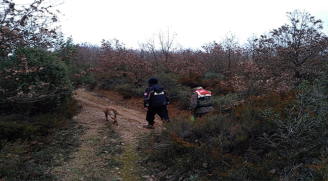 Çan'da Kaybolan Yaşlı Kadın Sağ Olarak Bulundu