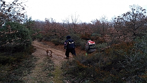 Çan'da Kaybolan Yaşlı Kadın Sağ Olarak Bulundu