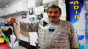 Denizlerin prensi 70 liraya tezgahlarda