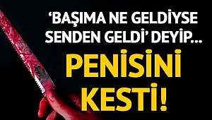 Tecavüz suçundan yatan mahkum kendi penisini kesti