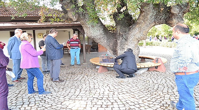Troya Tarihi Milli Parkı'nda yaralı bulunan yavru sincaplar tedavi edildi