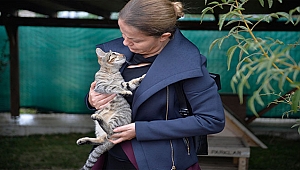Ünüvar, "Kedilerimiz Burada Özgür Ve Mutlu"