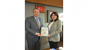 ÇTSO YÖNETİM KURULU'NDAN ÇANAKKALE MİLLETVEKİLİ JÜLİDE İSKENDEROĞLU'NA ZİYARET