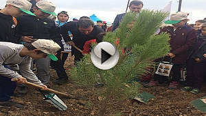 FİDANLAR FİDANLARLA BÜYÜYOR PROJESİ