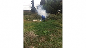 Kışlak Mücadelesi Çalışmaları Başladı