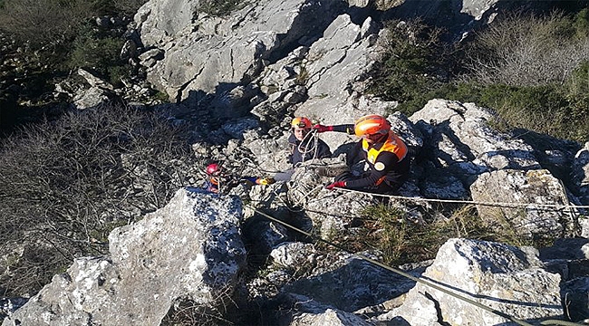 Kayalıklarda Mahsur Kalan Keçileri Afad Ekibi Kurtardı