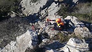 Kayalıklarda Mahsur Kalan Keçileri Afad Ekibi Kurtardı