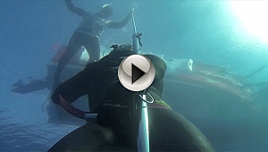 Krediyle gelen dünya rekoru