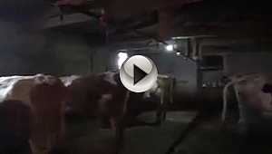 Projesi Desteklenen Çiftçinin Yüzü Güldü