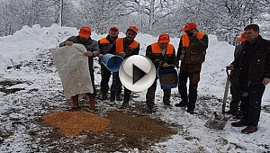 AVLAMAYA DEĞİL BESLEMEYE GİTTİLER