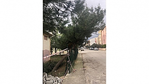 ÇANAKKALE BELEDİYESİ'NDEN BİLGİLENDİRME