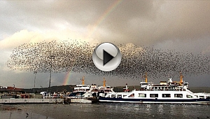 ÇANAKKALE BOĞAZI'NDA GÖKKUŞAĞI MANZARASI