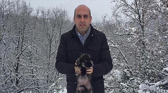 DONMAK ÜZERE OLAN KÖPEK YAVRULARINI KAYMAKAM KURTARDI