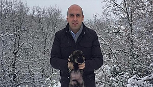 DONMAK ÜZERE OLAN KÖPEK YAVRULARINI KAYMAKAM KURTARDI