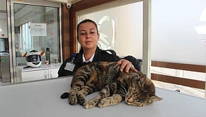 FERİBOT İSKELESİNİN MASKOTU 'MİÇO'