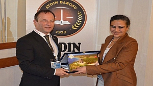 AYDIN'DA JEOTERMAL ENERJİ ÇALIŞTAYI