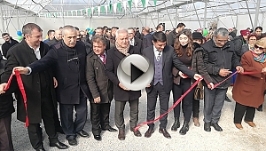 KEPEZ SERASINA KAVUŞTU