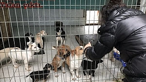 SKANDAL BARINAK HABERİ YALAN ÇIKTI