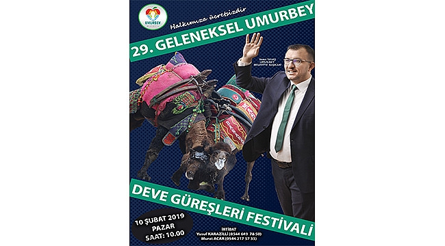 UMURBEY 29. GELENEKSEL DEVE GÜREŞLERİ FESTİVALİNE HAZIRLANIYOR