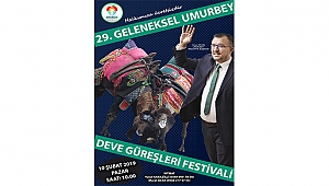 UMURBEY 29. GELENEKSEL DEVE GÜREŞLERİ FESTİVALİNE HAZIRLANIYOR